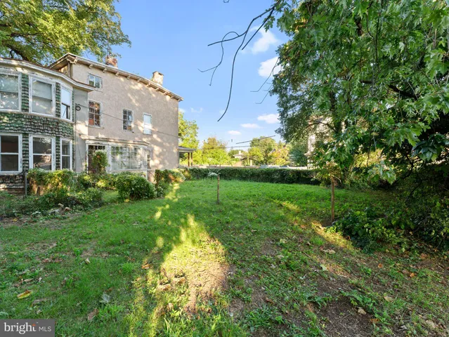 a view of a big yard with plants and large trees