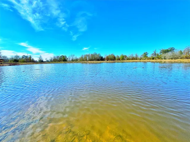 a view of a yard with an outdoor space