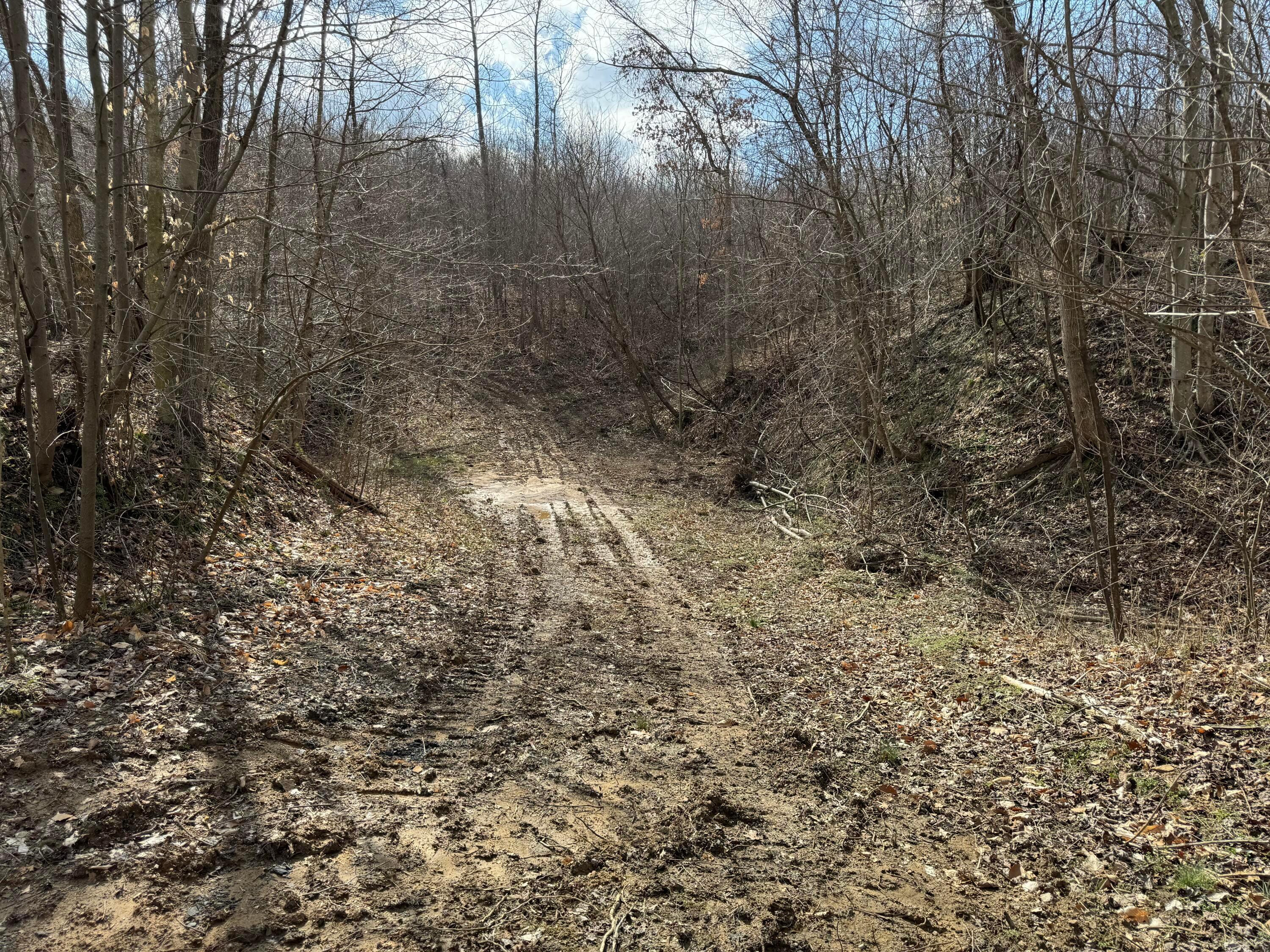 0 Flint Ridge Road Northeast, Unit INT RIDGE TRACT 22 ACRE) Crooksville, OH 43731 - Photo 20 of 48 20240304_190535190_iOS