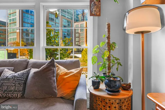 a living room with furniture and a potted plant