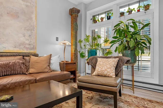 a living room with furniture flowerpot and a potted plant