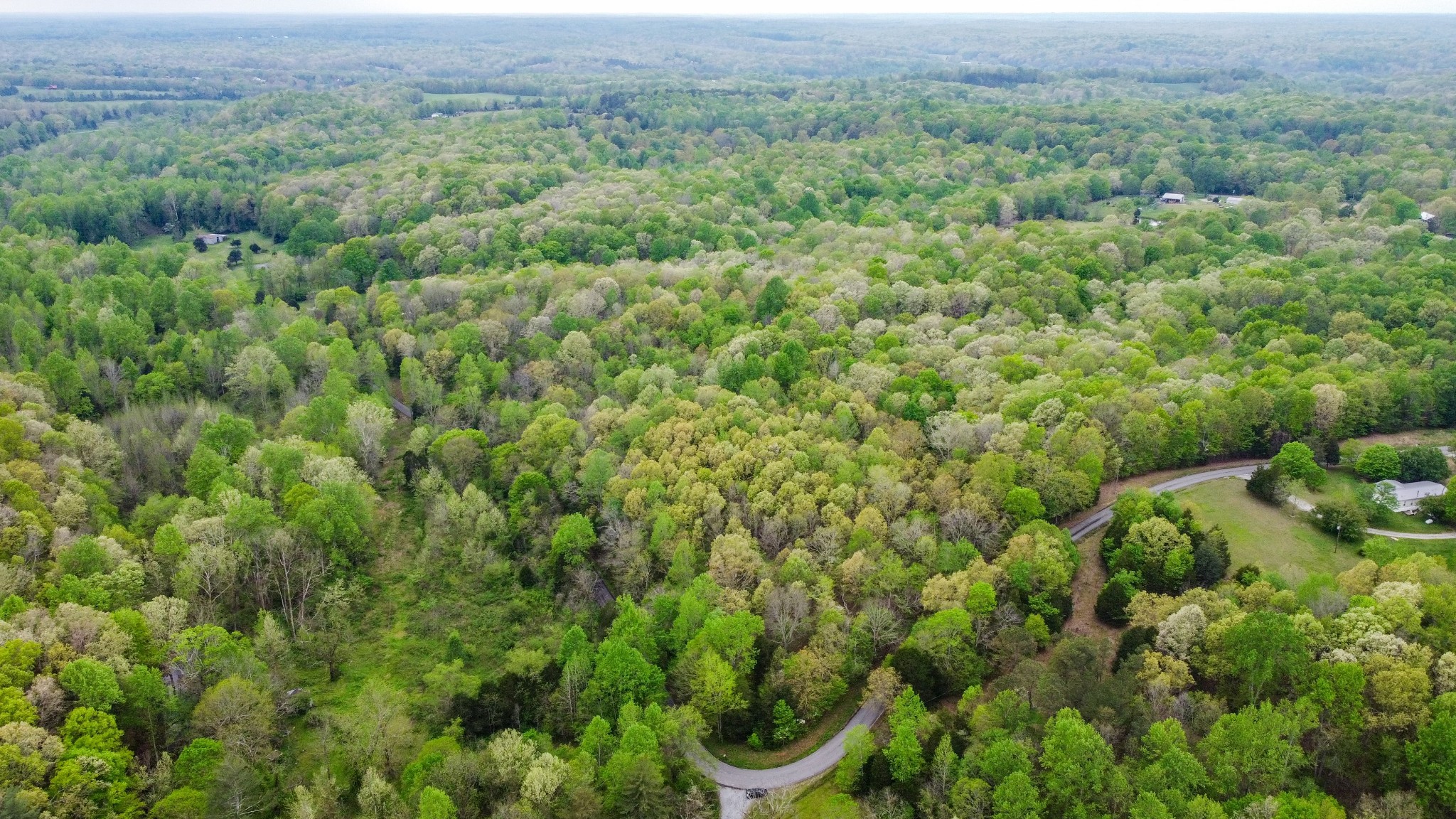1 Walnut Grove Road Dickson, TN 37055 - Photo 11 of 11 Gallery Image 11
