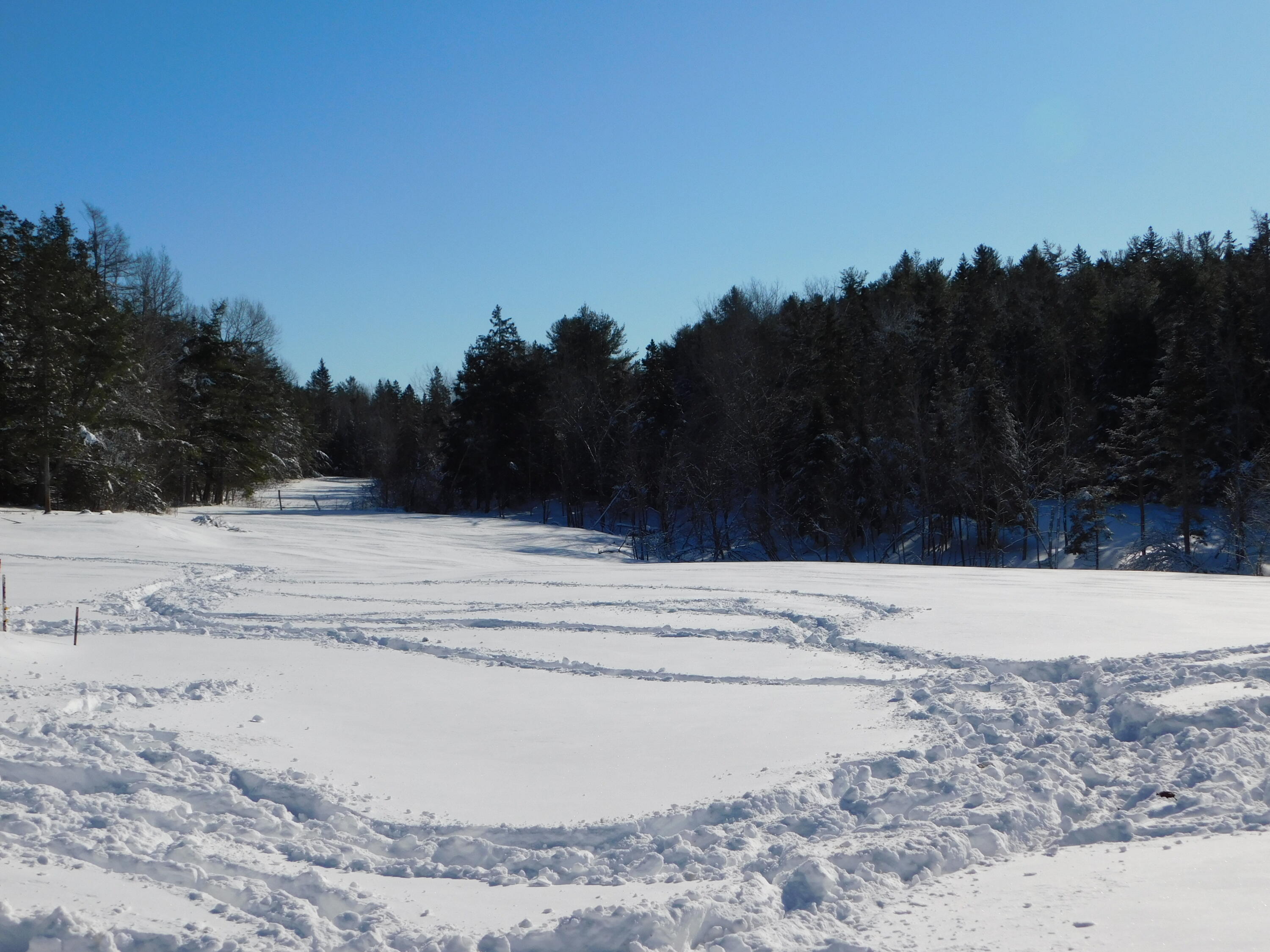 74 Harrison Road Dennysville, ME 04628 - Photo 17 of 35 DSCN0416