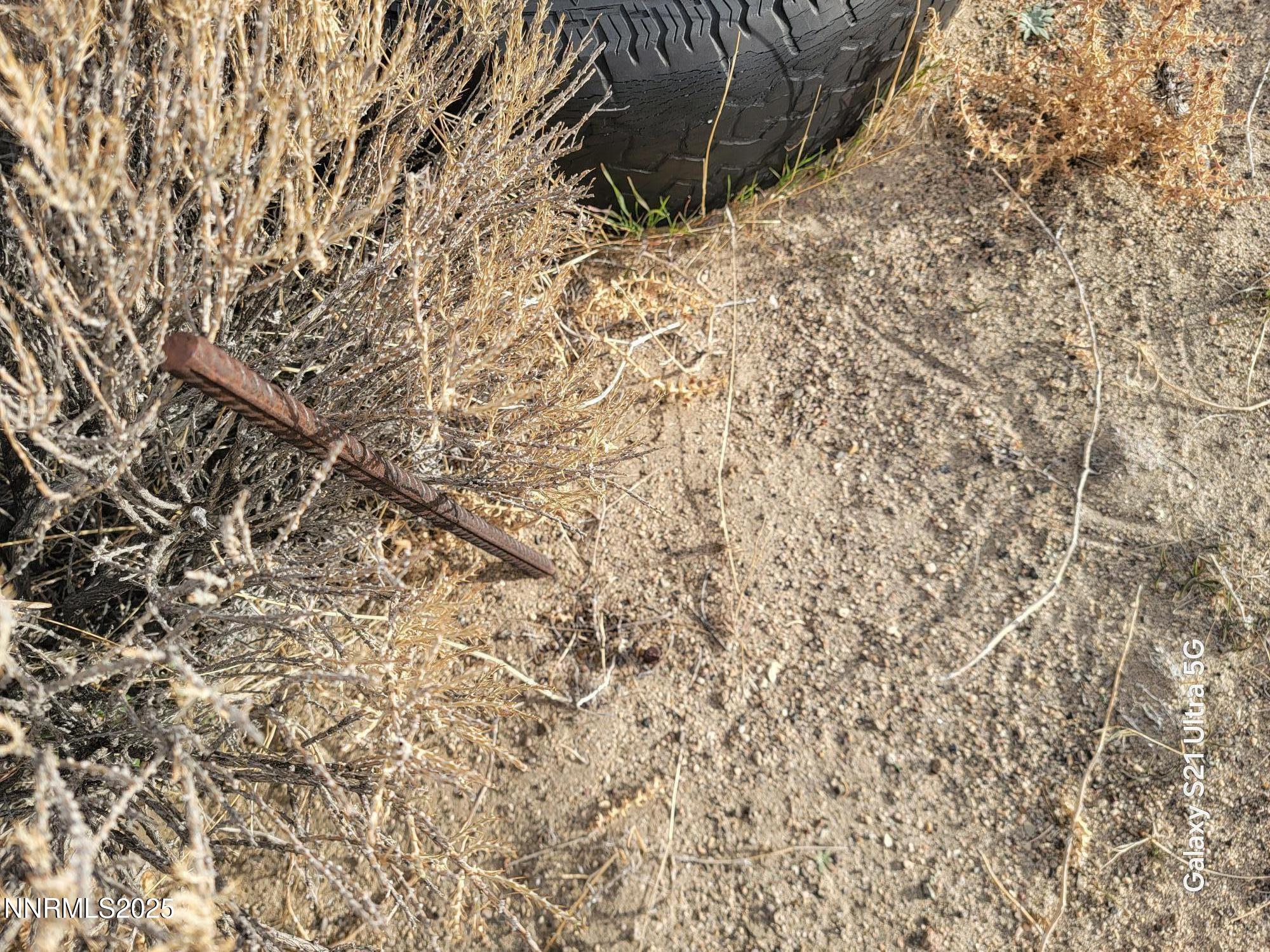 2535 East 8th Street Silver Springs, NV 89429 - Photo 5 of 7 20251113_150923