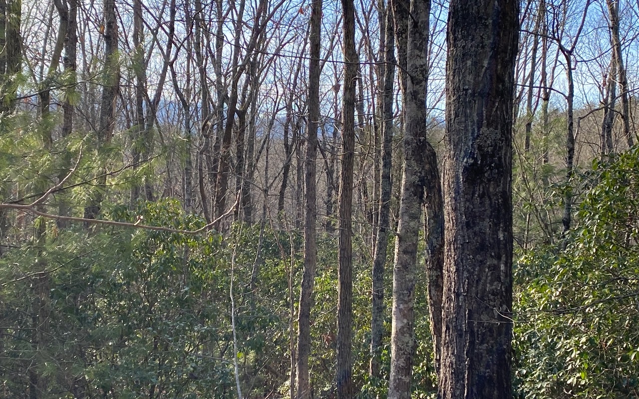 Lot15 Price Road Blue Ridge, GA 30513 - Photo 2 of 4 Additional View