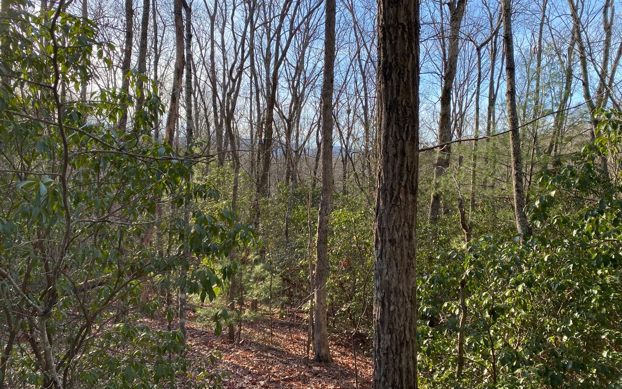 Lot15 Price Road Blue Ridge, GA 30513 - Photo 4 of 4 Additional View