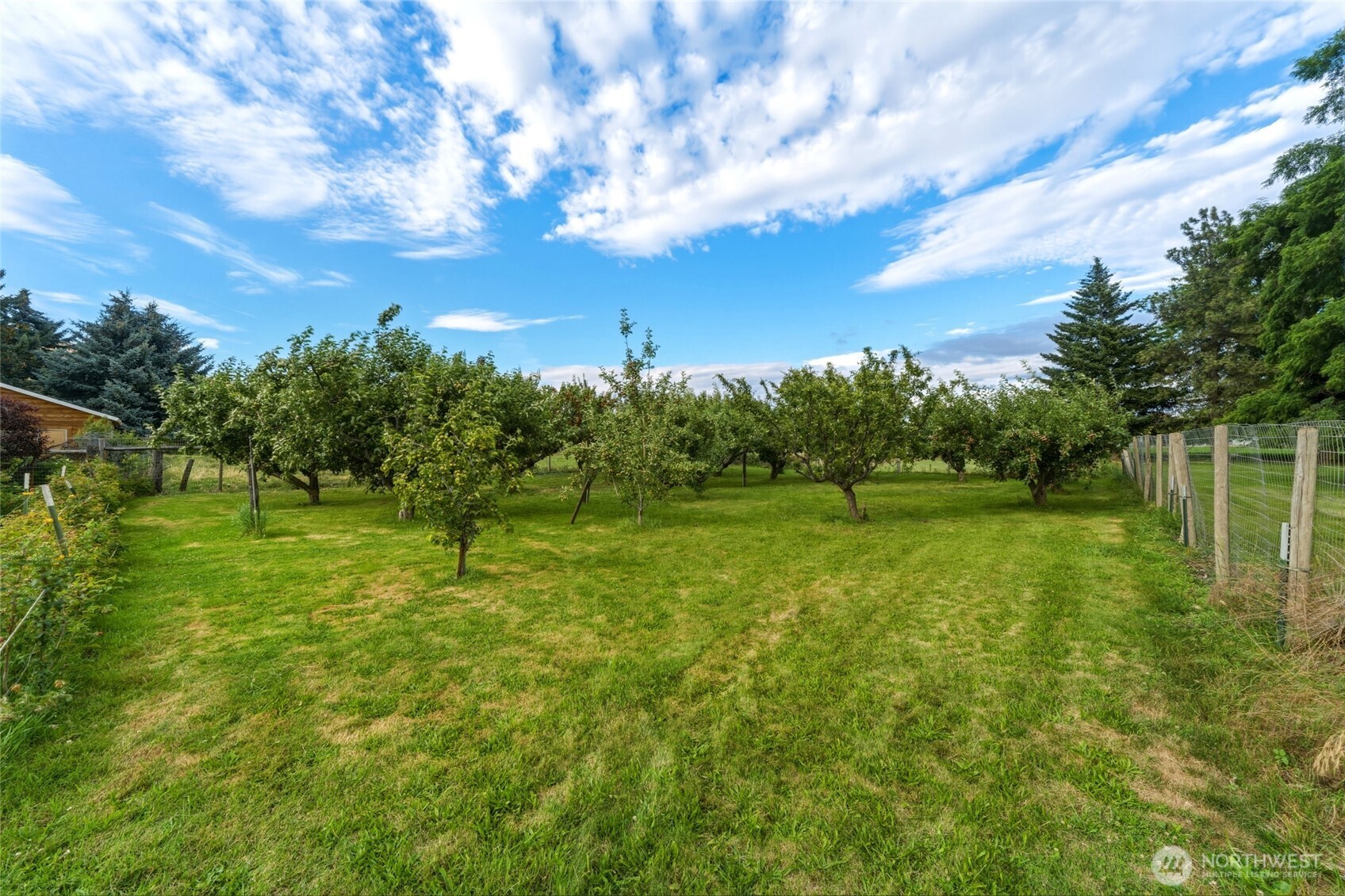 730 Pittman Road Dayton, WA 99328 - Photo 37 of 40