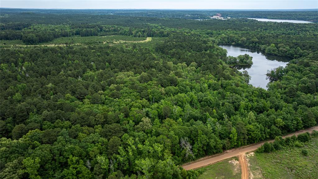 0 Victory School Road Avinger, TX 75630 - Photo 2 of 6 an aerial view of residential houses with outdoor space and trees