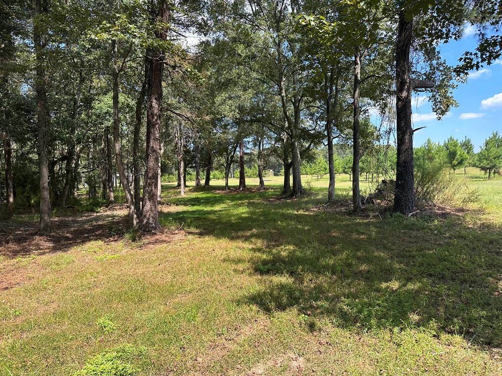1454 Middleton Road Dothan, AL 36301 - Photo 18 of 21