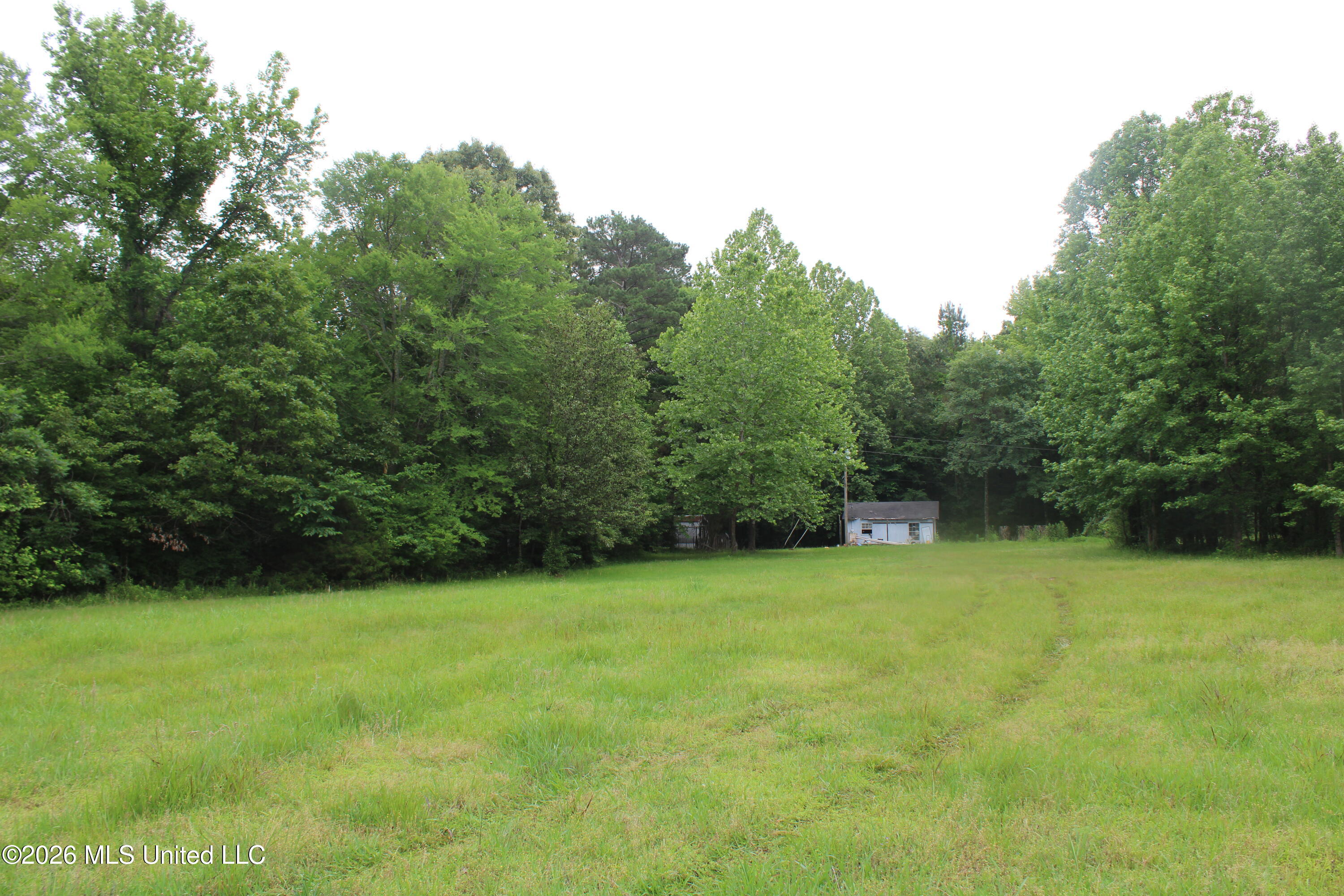 1347 Briscoe Road Holly Springs, MS 38635 - Photo 8 of 20 IMG_7859