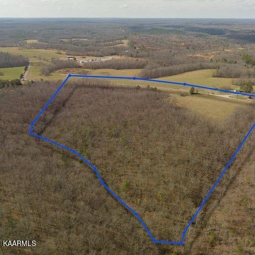 0 Brewstertown Road Sunbright, TN 37872 - Photo 1 of 16