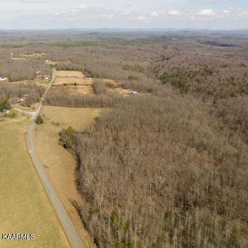0 Brewstertown Road Sunbright, TN 37872 - Photo 11 of 16