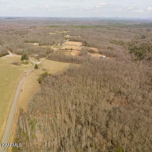 0 Brewstertown Road Sunbright, TN 37872 - Photo 12 of 16