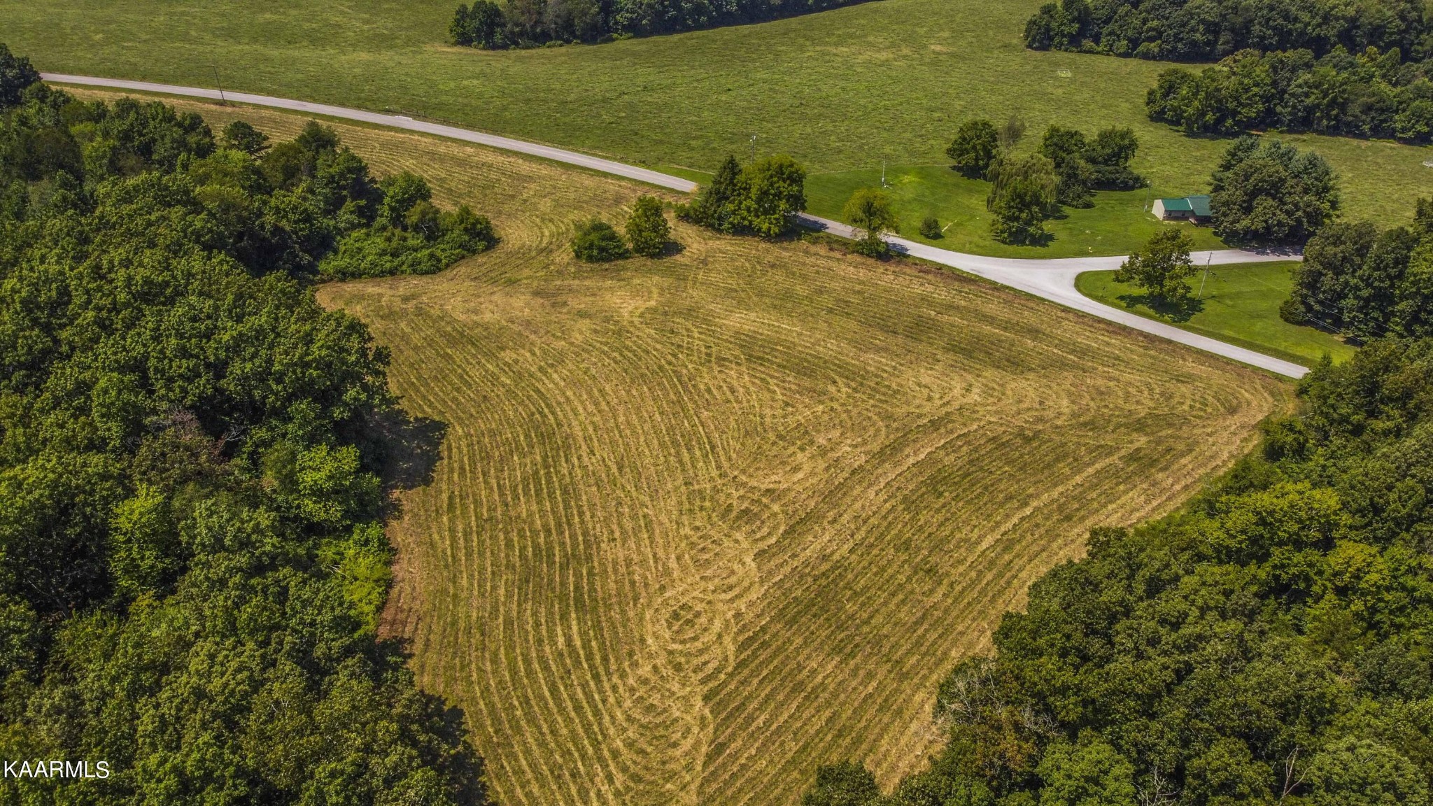 0 Brewstertown Road Sunbright, TN 37872 - Photo 2 of 16