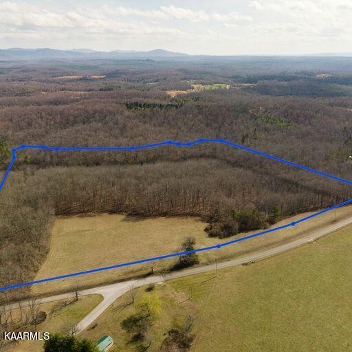 0 Brewstertown Road Sunbright, TN 37872 - Photo 7 of 16