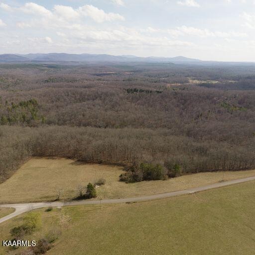 0 Brewstertown Road Sunbright, TN 37872 - Photo 8 of 16