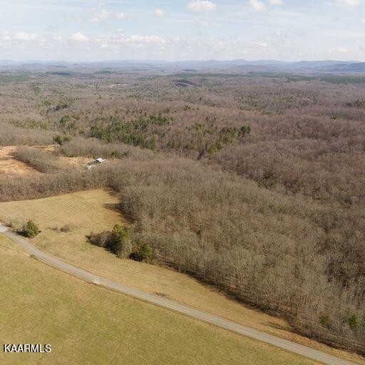 0 Brewstertown Road Sunbright, TN 37872 - Photo 10 of 16