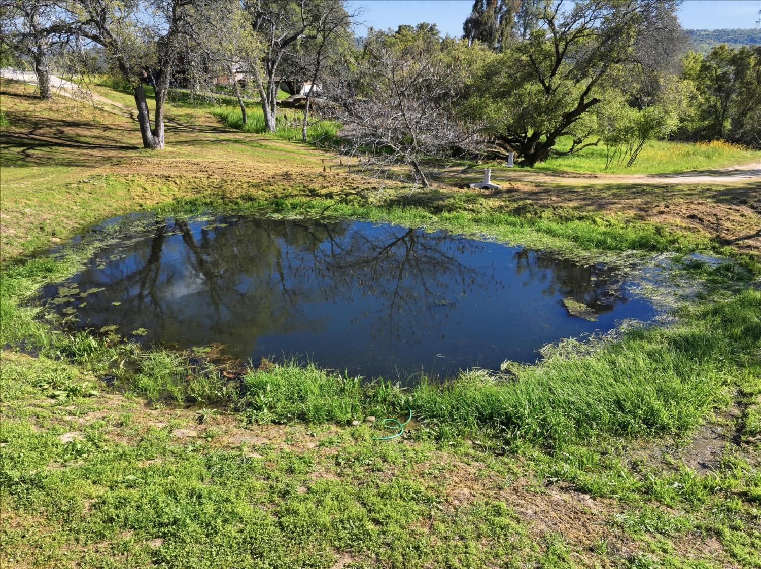 29348 Powder Horn Way Coarsegold, CA 93614 - Photo 37 of 63
