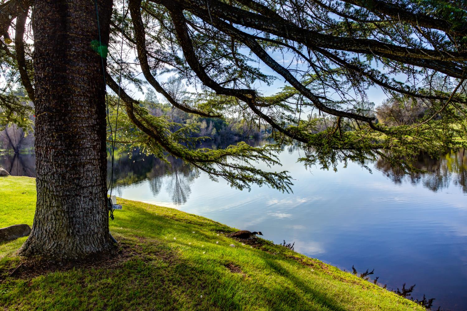 29348 Powder Horn Way Coarsegold, CA 93614 - Photo 61 of 63