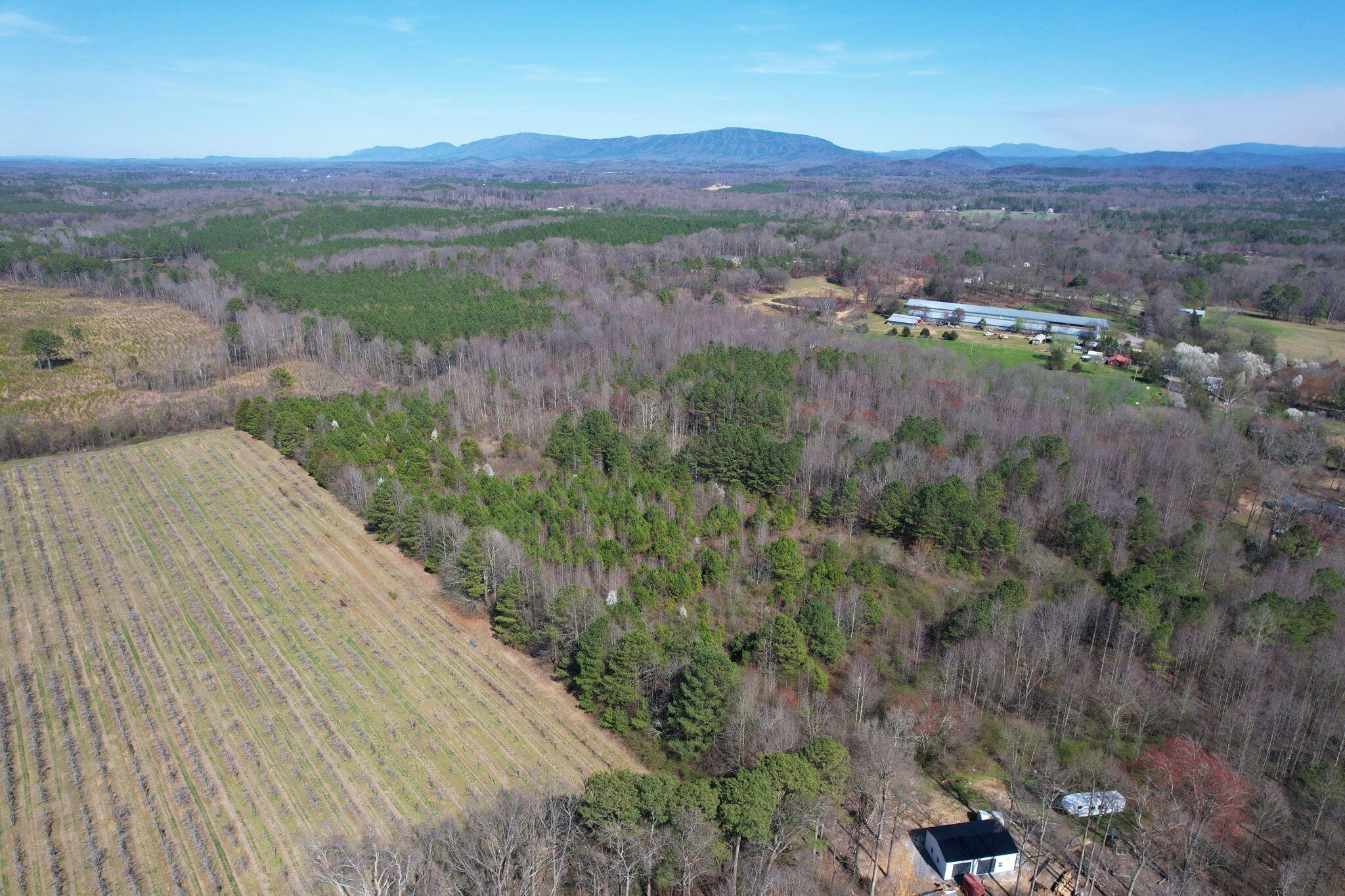 0 Southeast Branam Road Old Fort, TN 37362 - Photo 5 of 17 Gallery Image 5