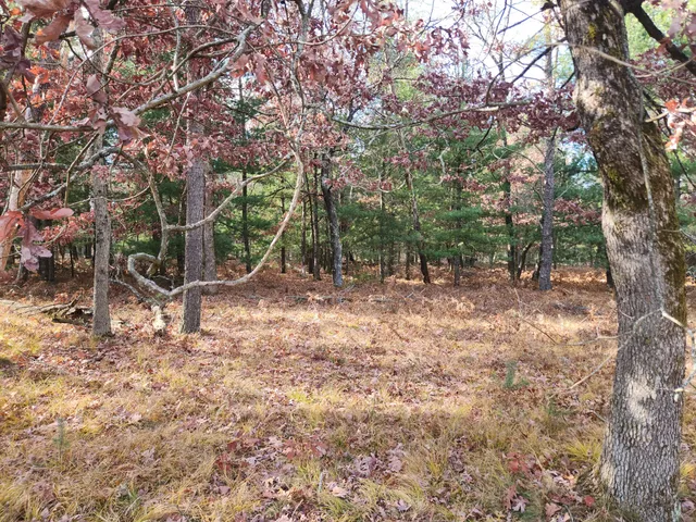 $204,900 | 9279 South Forman Road, Idlewild, MI 49642