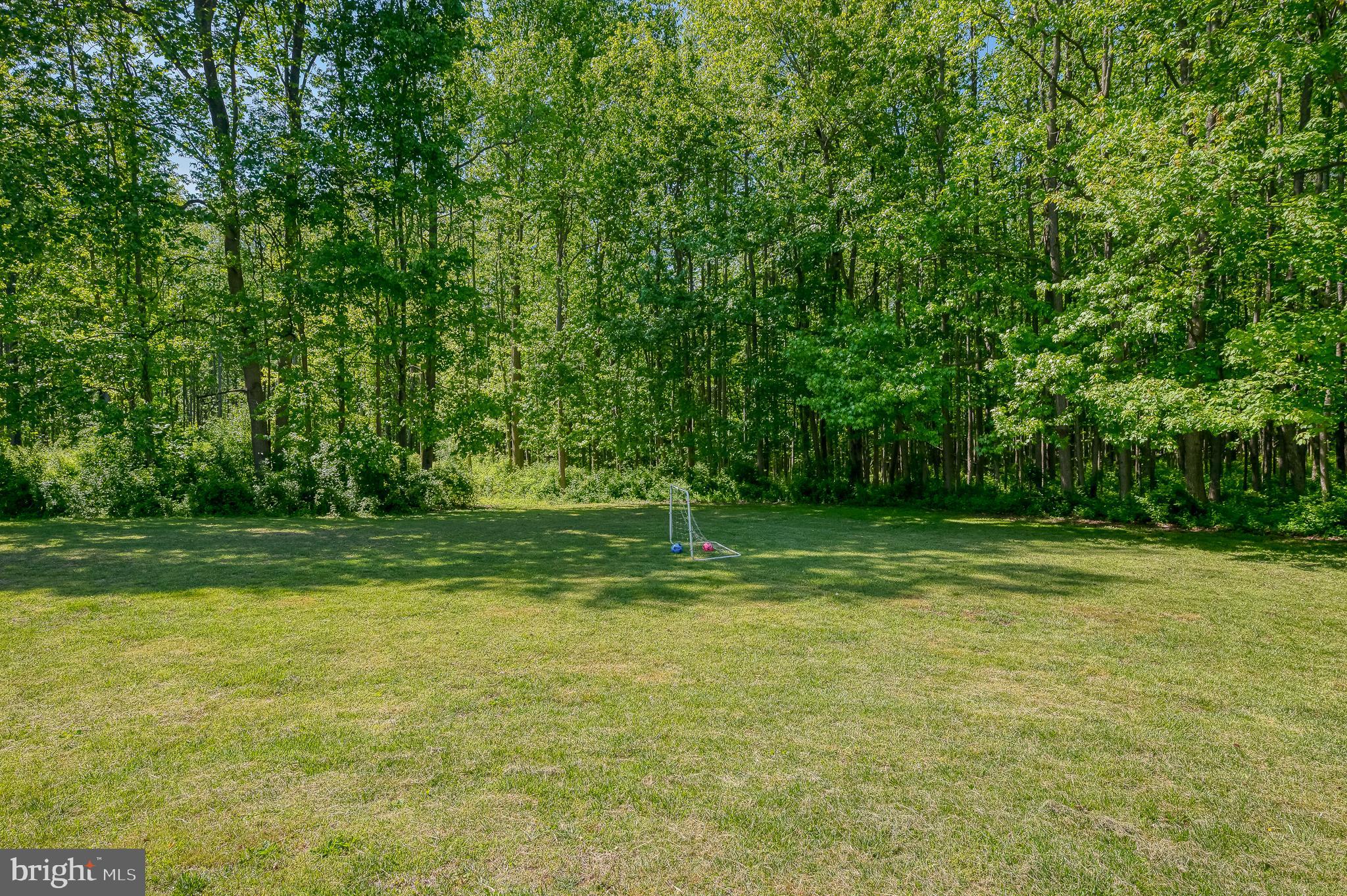 2056 Chapel Road Havre de Grace, MD 21078 - Photo 107 of 120 a view of a field with trees in the background