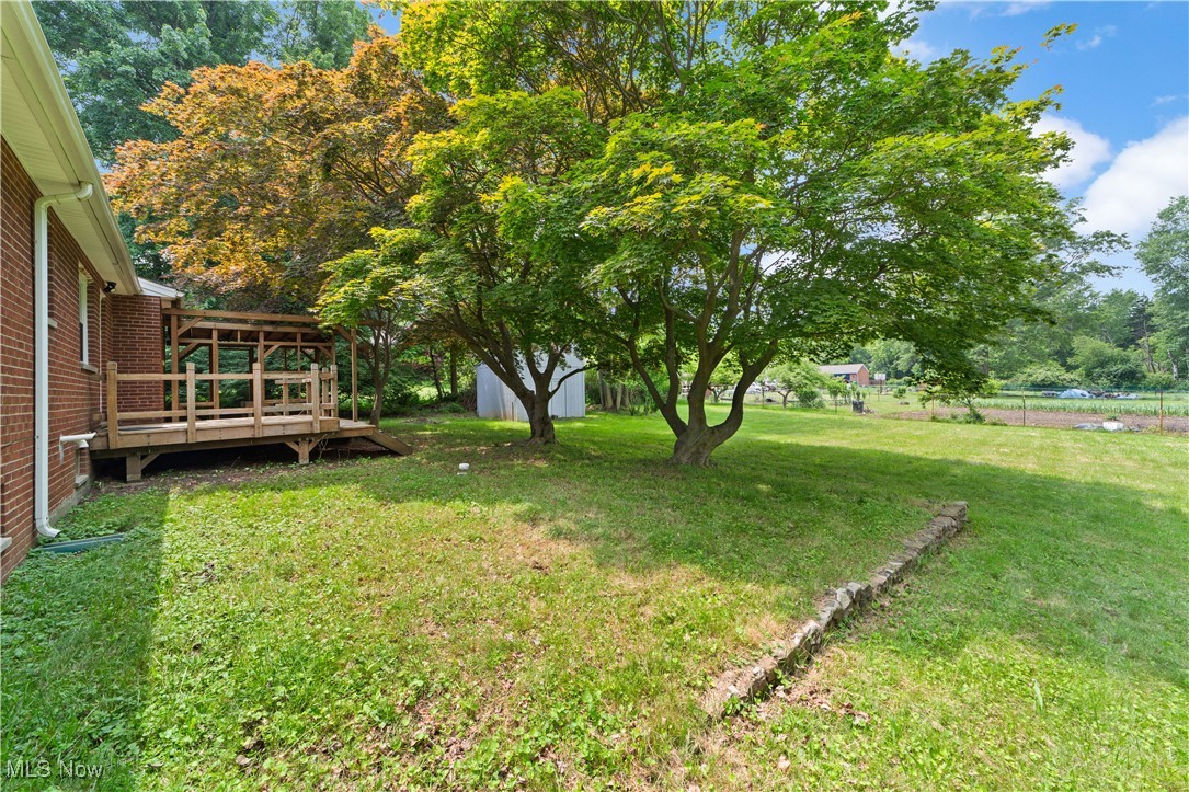792 Miner Road Cleveland, OH 44143 - Photo 27 of 35 Large Backyard