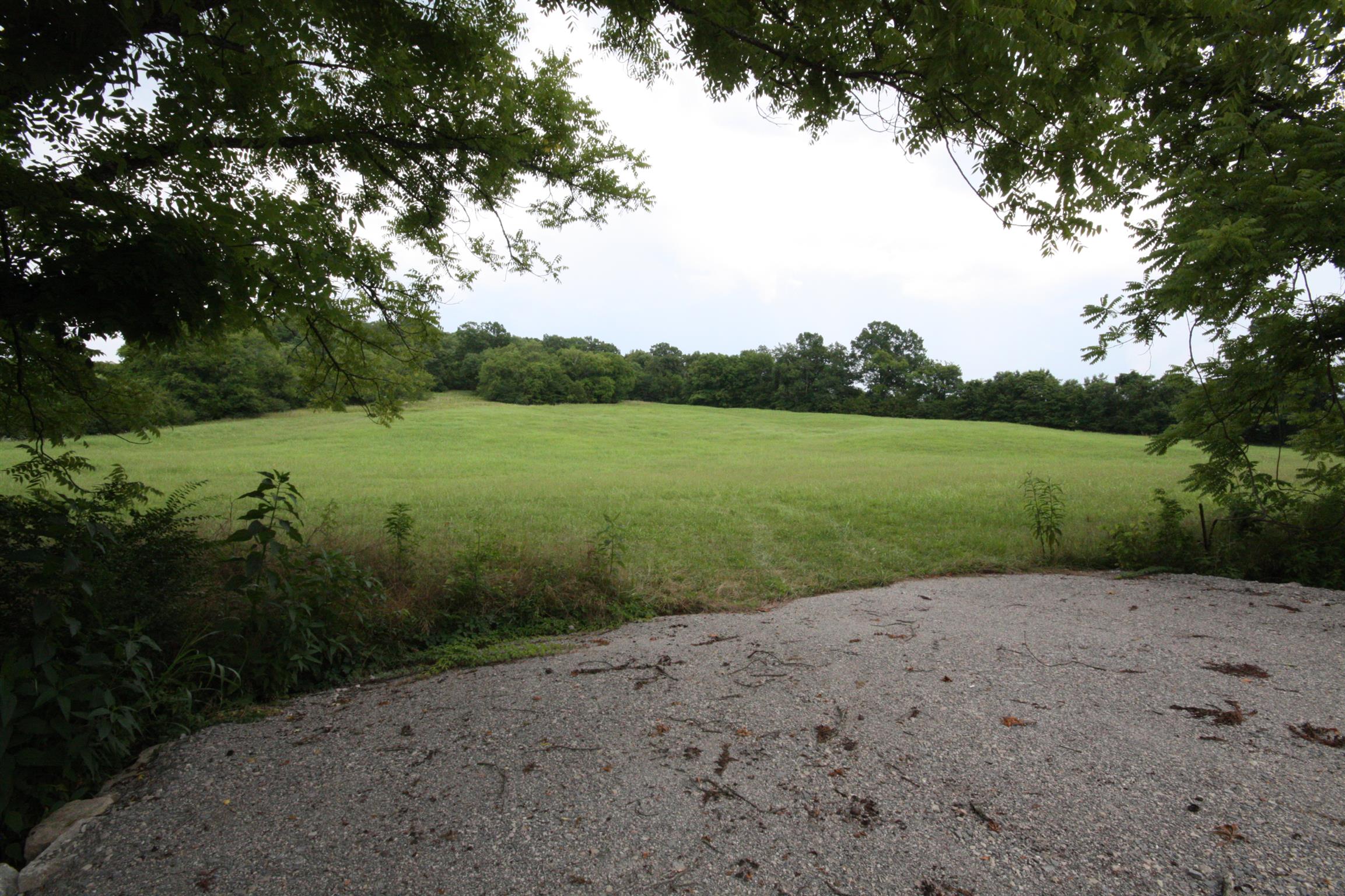 a view of a field with a tree in the background