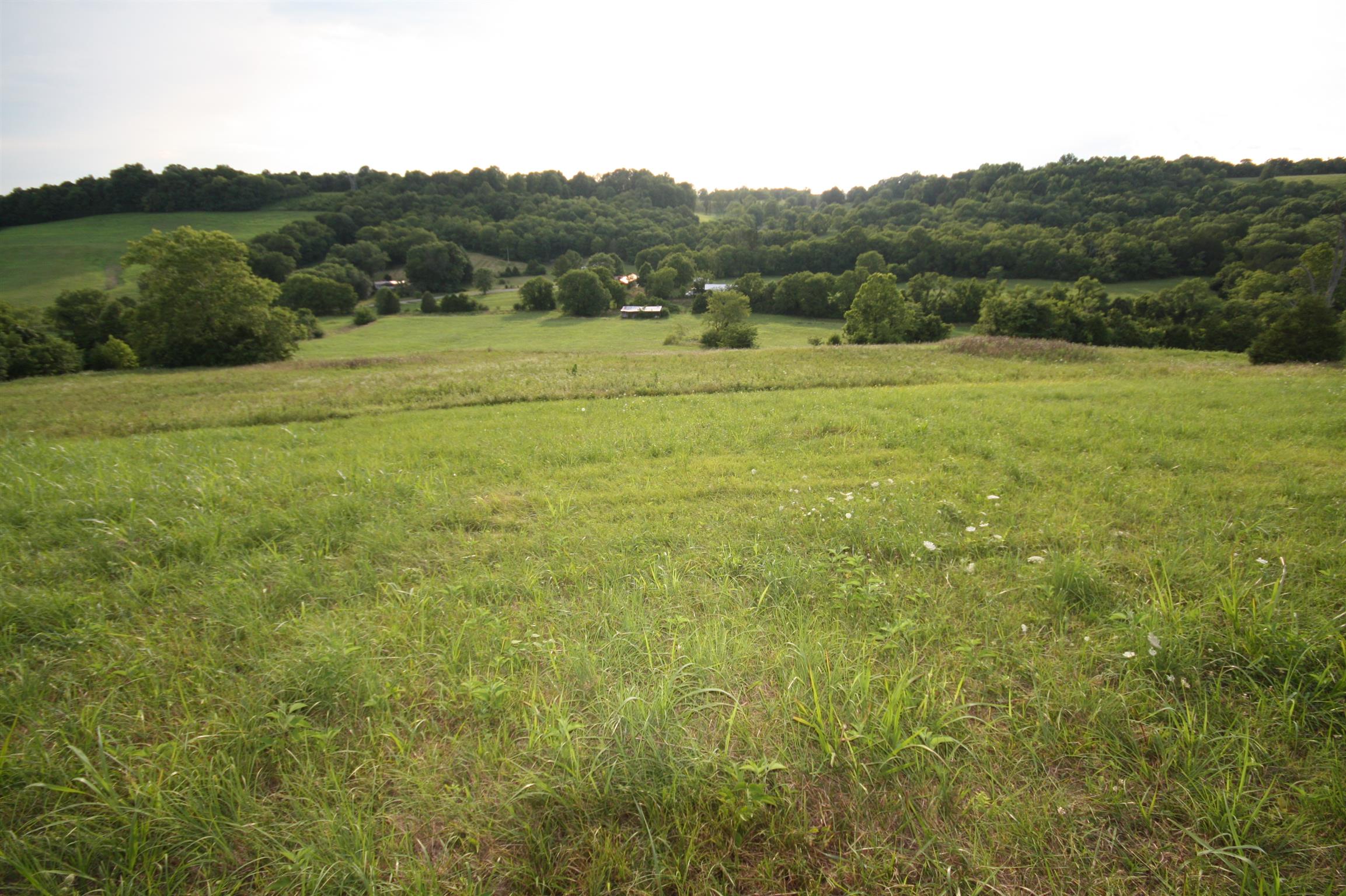 4872 Mingo Branch Road Santa Fe, TN 38482 - Photo 12 of 14 a view of outdoor space with mountain view