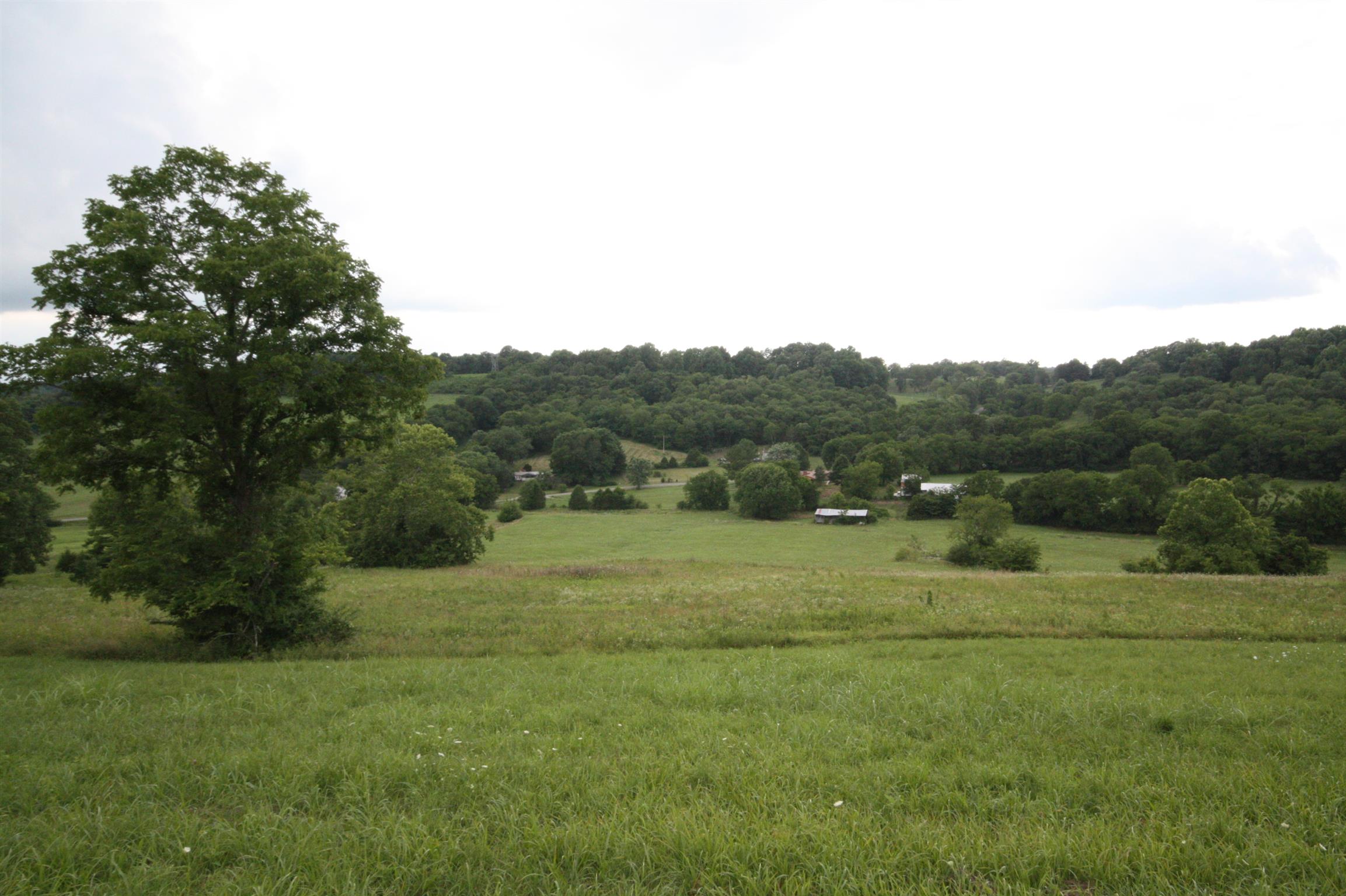 4872 Mingo Branch Road Santa Fe, TN 38482 - Photo 3 of 14 a view of outdoor space and yard