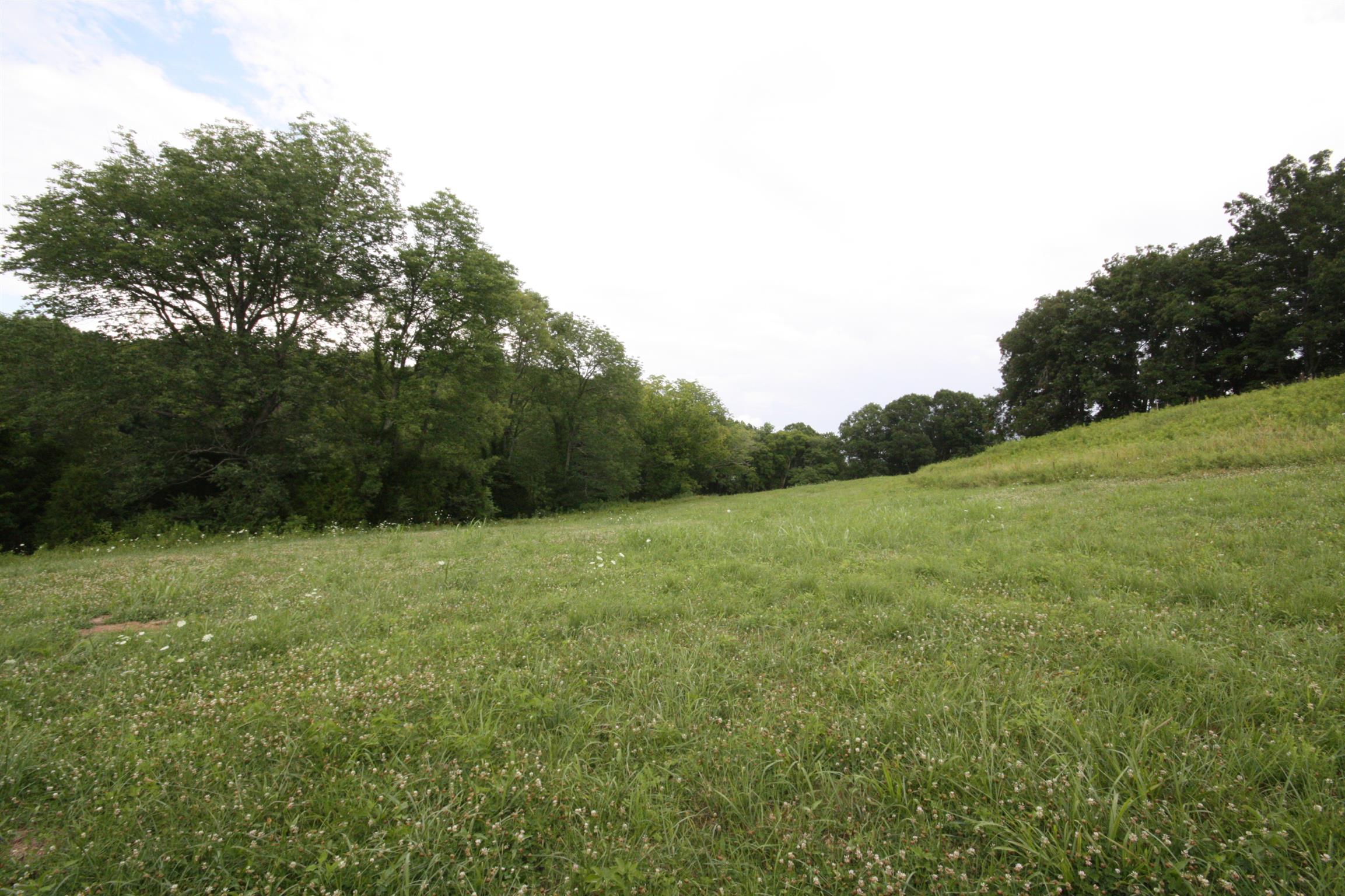 4872 Mingo Branch Road Santa Fe, TN 38482 - Photo 4 of 14 a big yard with lots of green space