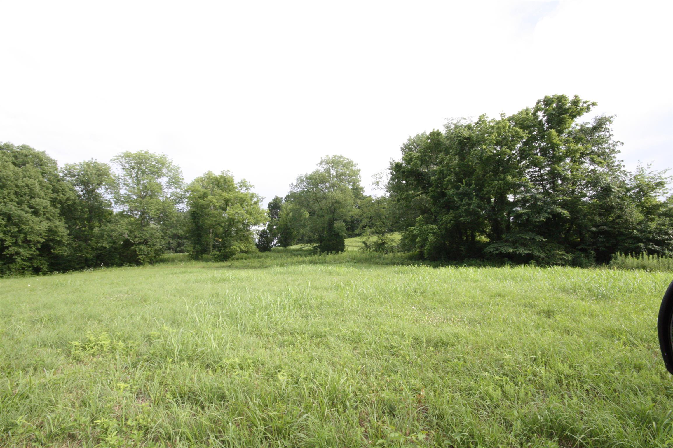 4872 Mingo Branch Road Santa Fe, TN 38482 - Photo 6 of 14 a view of outdoor space with deck and yard