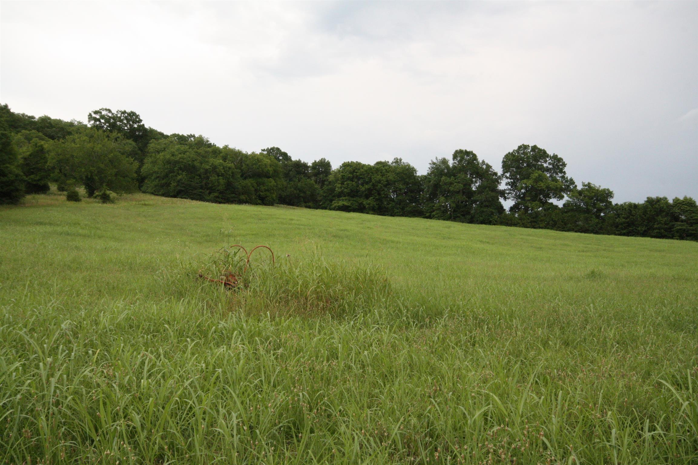 4872 Mingo Branch Road Santa Fe, TN 38482 - Photo 9 of 14 a view of field with trees in the background