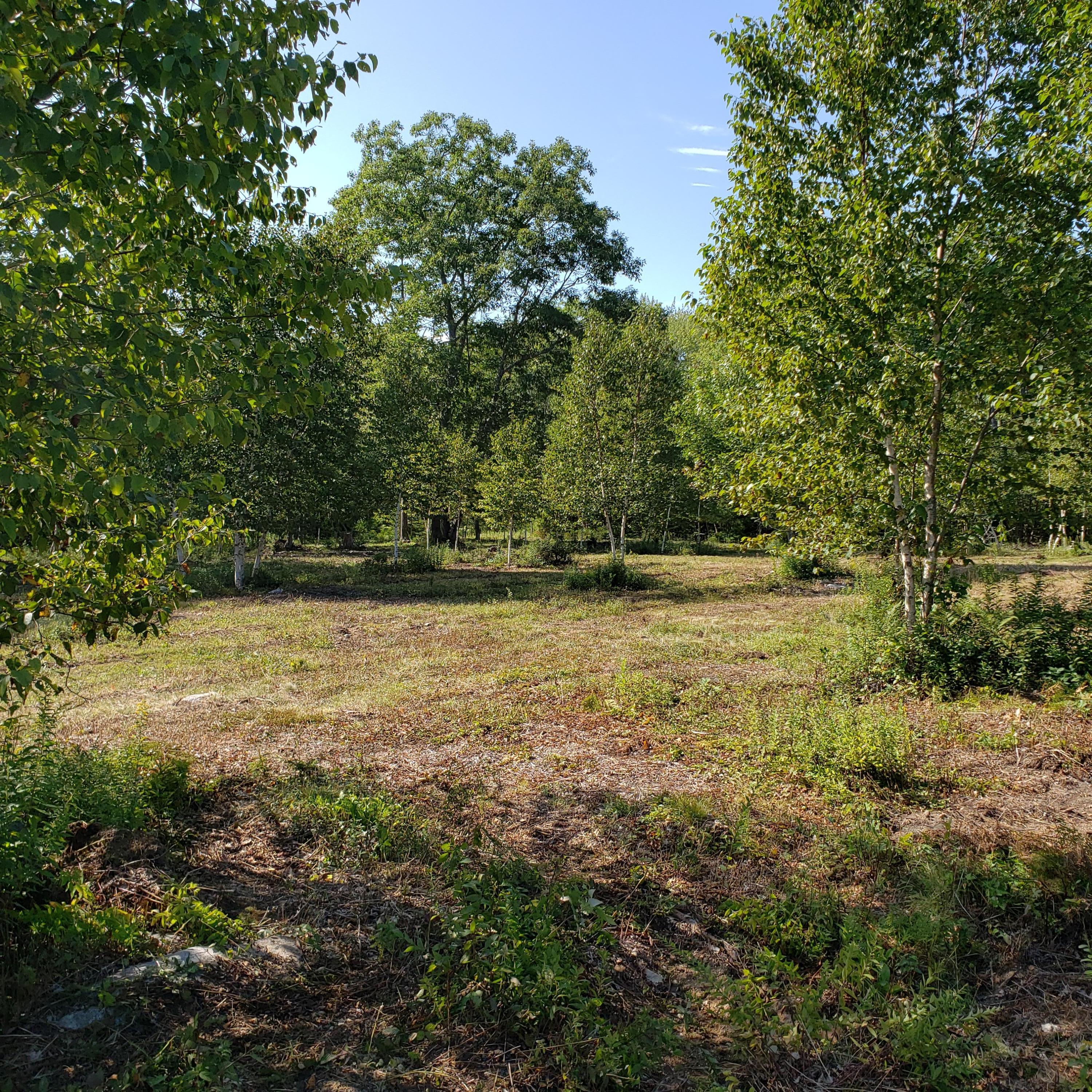 53 Cushing Farm Road New Harbor, ME 04554 - Photo 1 of 17 20190826_152913