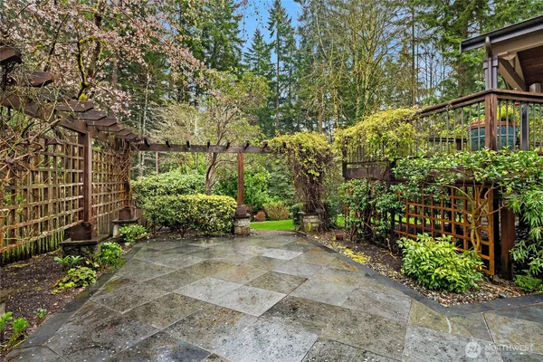 a view of a backyard