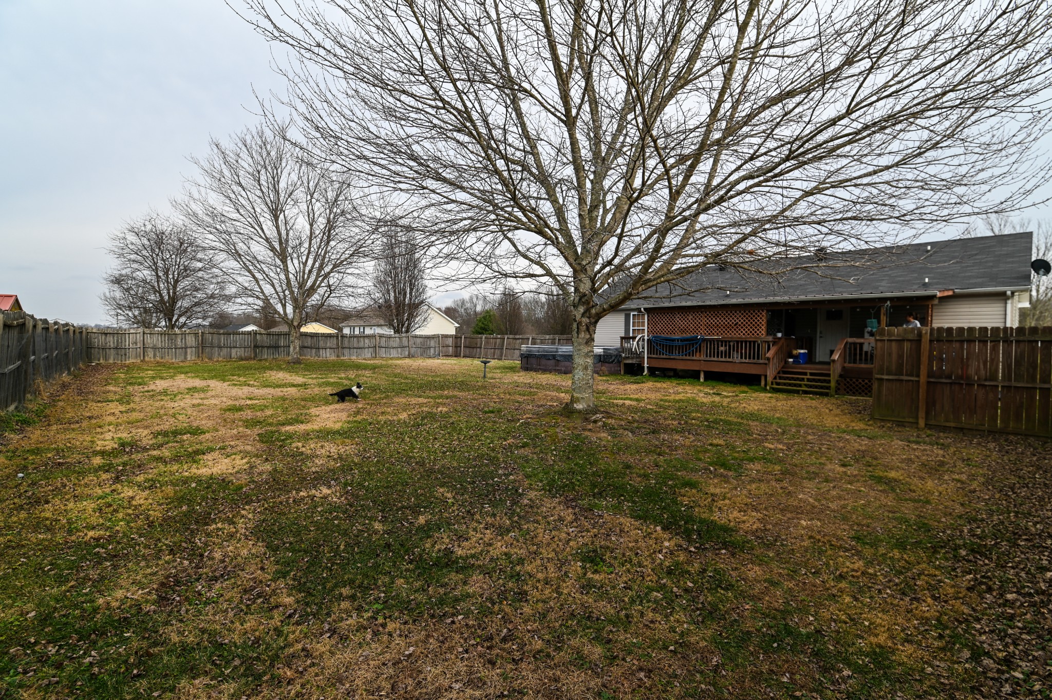 353 Stevens Circle Lafayette, TN 37083 - Photo 19 of 25 a view of outdoor space with garden view