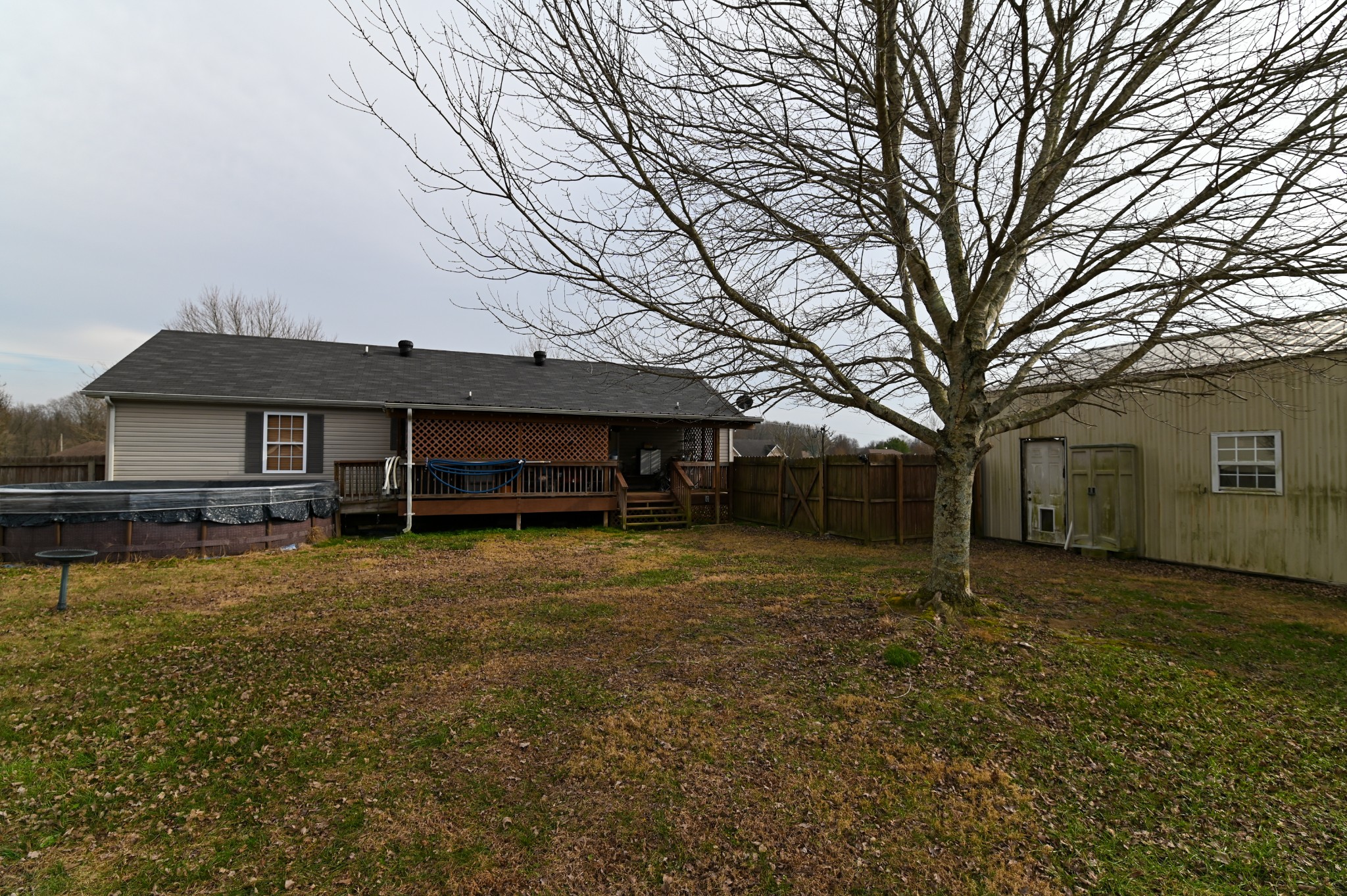 353 Stevens Circle Lafayette, TN 37083 - Photo 20 of 25 a view of a house with a yard and large tree