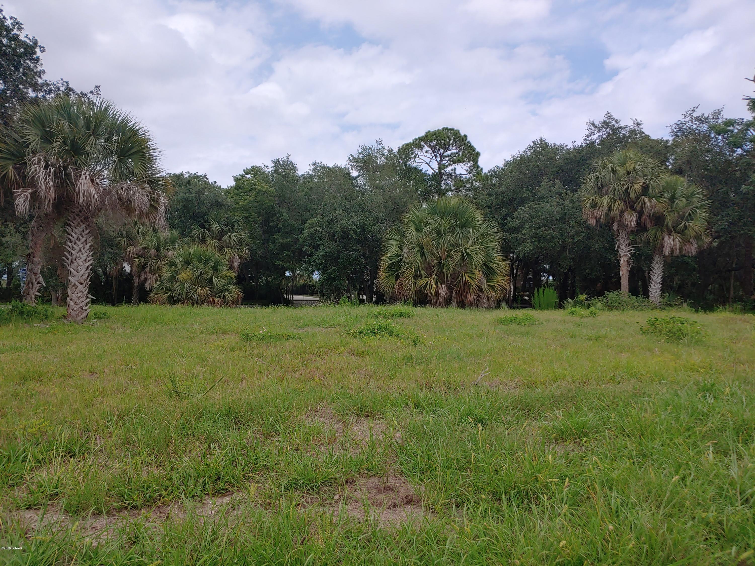 2220 Old Dixie Highway Ormond Beach, FL 32174 - Photo 2 of 2 2230 Old Dixie 1