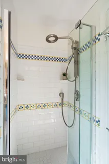 a view of a garden with plants and large trees