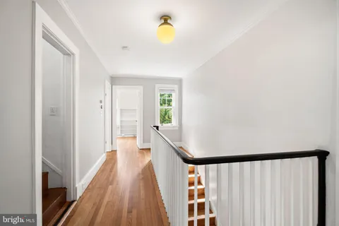 a view of a backyard with plants and outdoor seating
