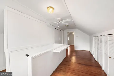 a view of a yard with plants and large trees