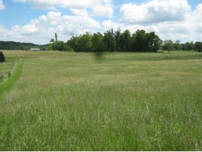 0 Boyd Carter Road Chuckey, TN 37641 - Photo 4 of 7 Photo 4