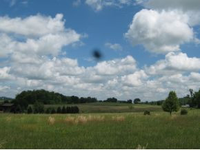 0 Boyd Carter Road Chuckey, TN 37641 - Photo 7 of 7 Photo 7