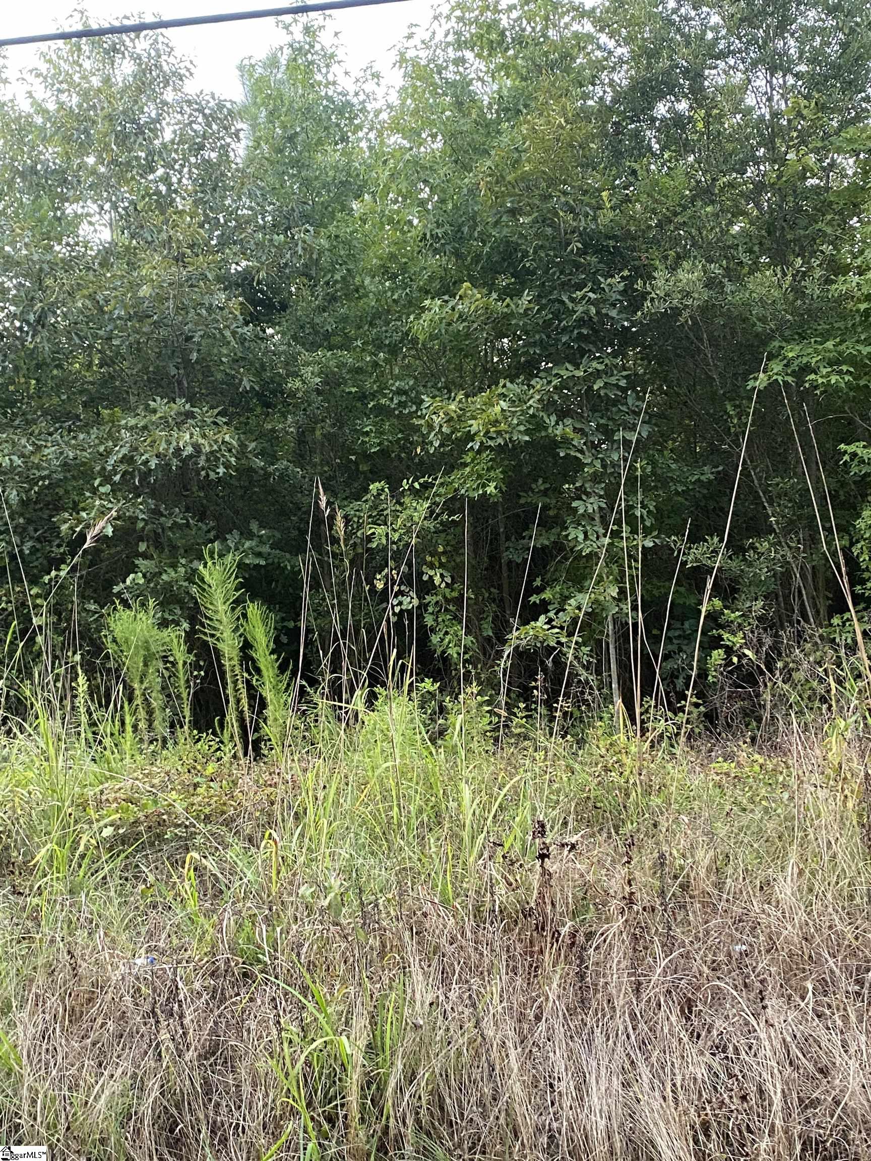 455 Camp Ground Road Laurens, SC 29360 - Photo 2 of 9 Gallery Image 2