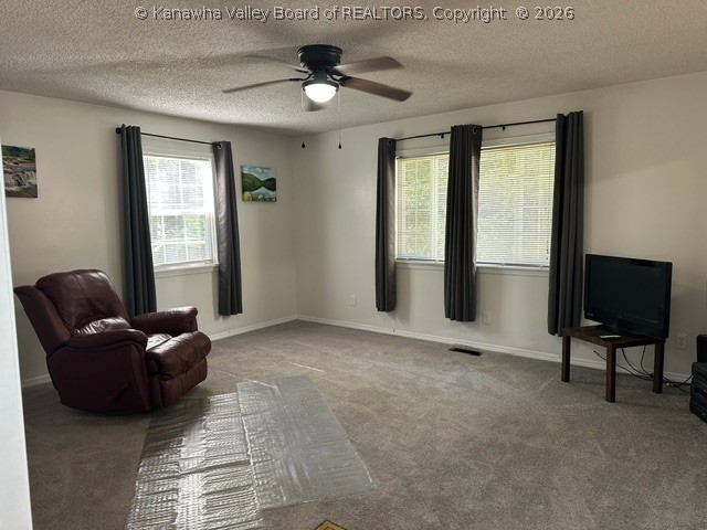 13 Browns Road Hugheston, WV 25110 - Photo 7 of 12 Gallery Image 7
