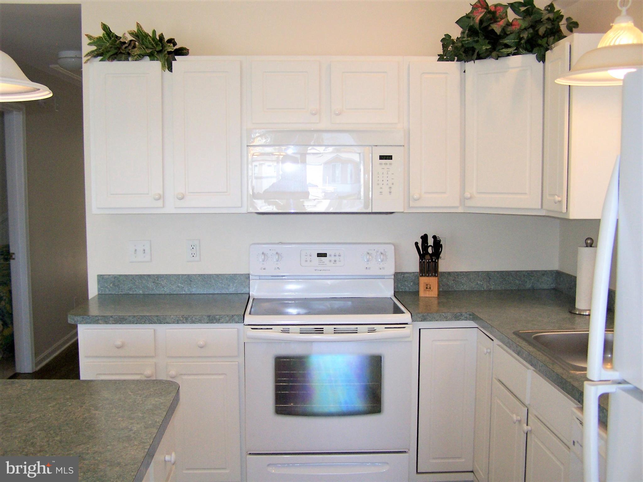 190 Pine Tree Road Ocean City, MD 21842 - Photo 20 of 60 Kitchen