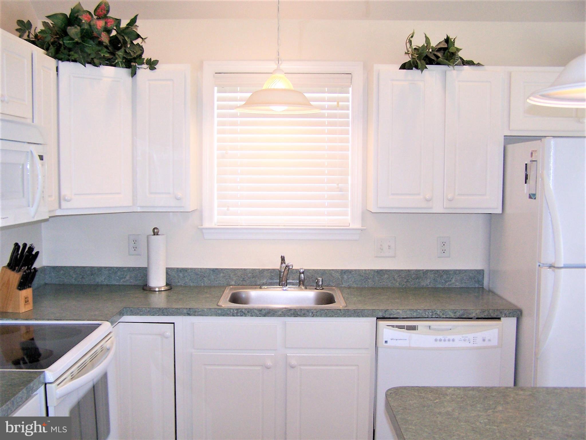 190 Pine Tree Road Ocean City, MD 21842 - Photo 21 of 60 Kitchen