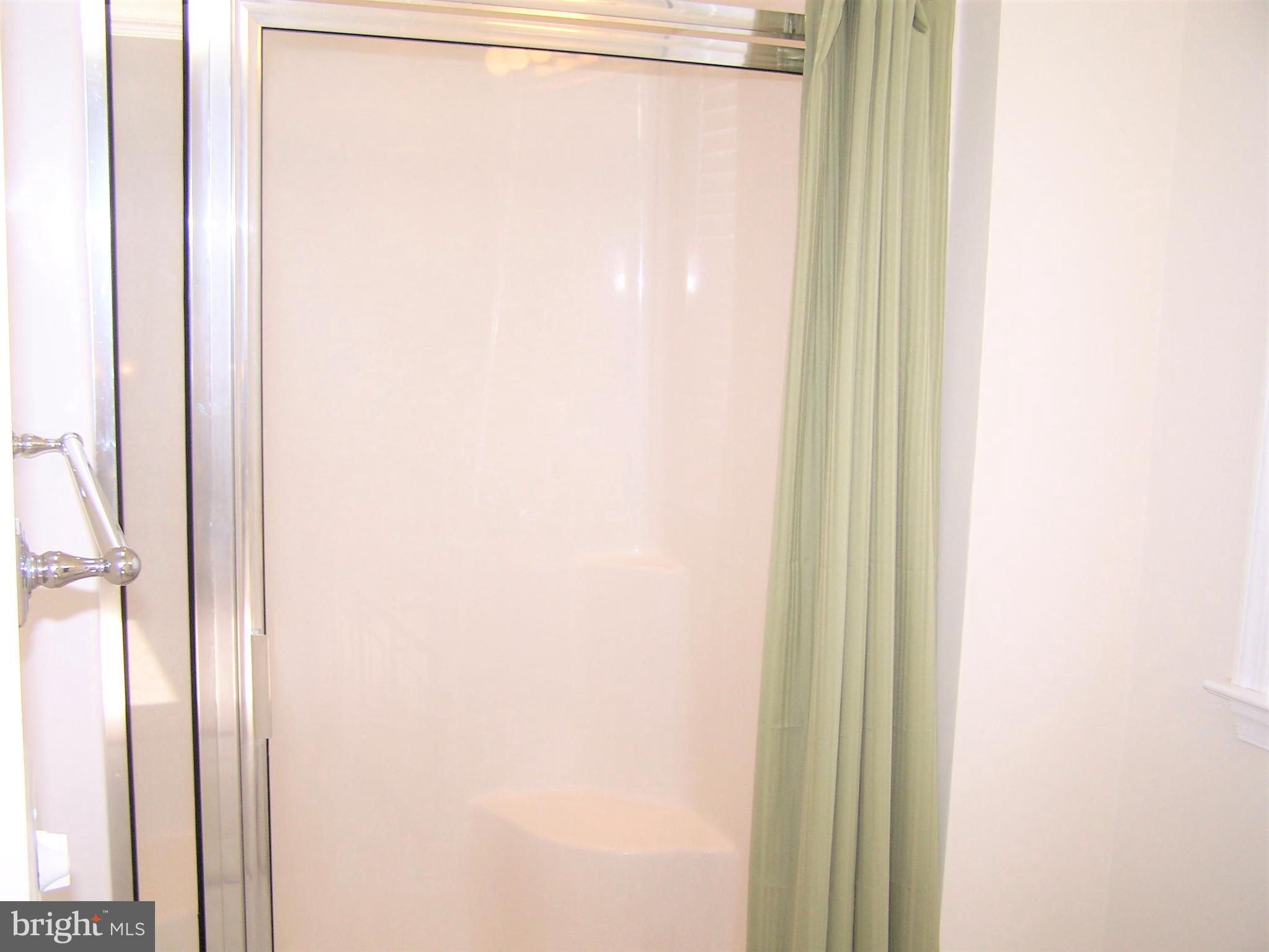 190 Pine Tree Road Ocean City, MD 21842 - Photo 29 of 60 Master Bath