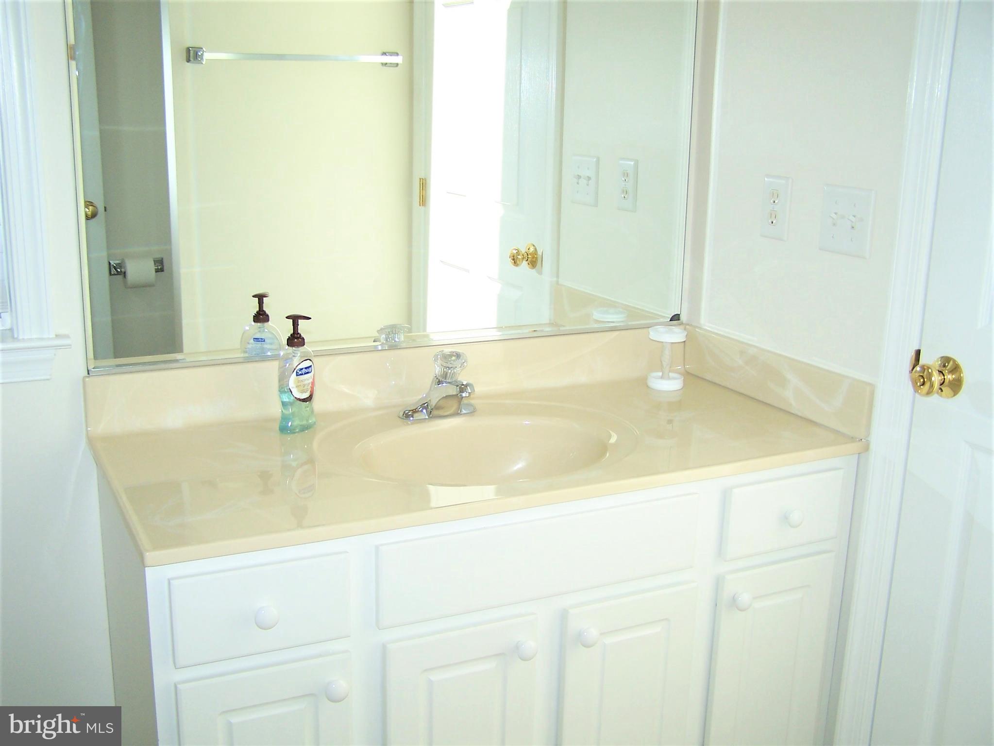 190 Pine Tree Road Ocean City, MD 21842 - Photo 30 of 60 Master Bath