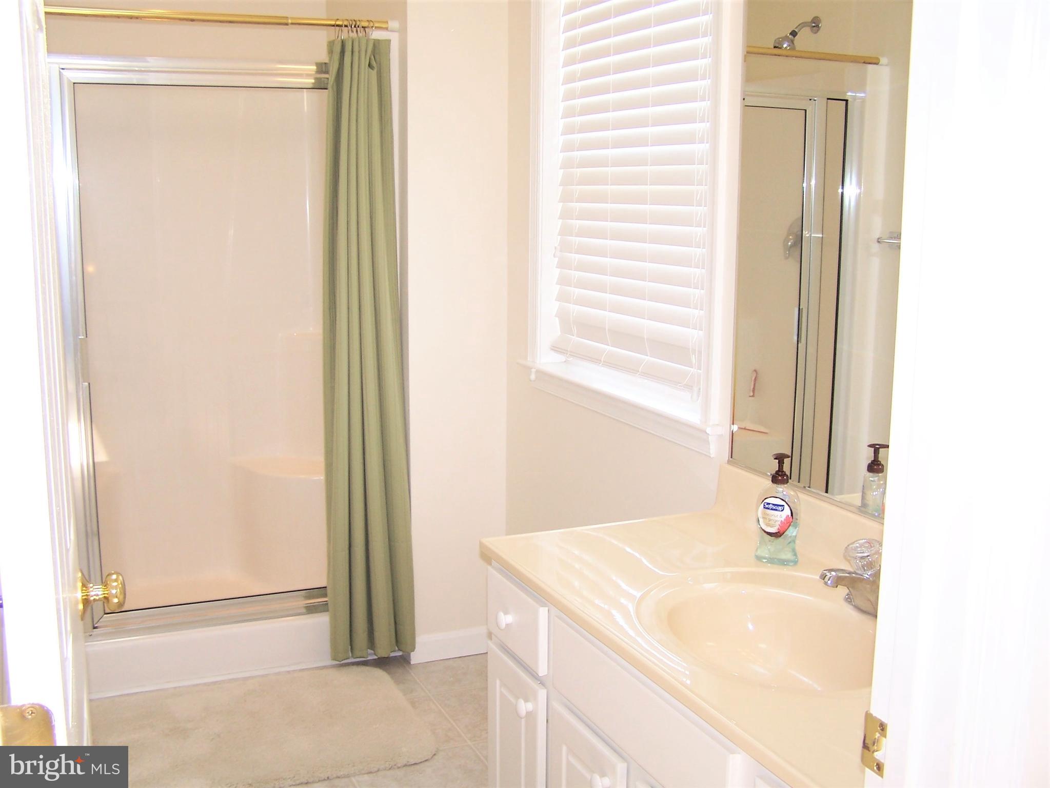 190 Pine Tree Road Ocean City, MD 21842 - Photo 31 of 60 Master Bath